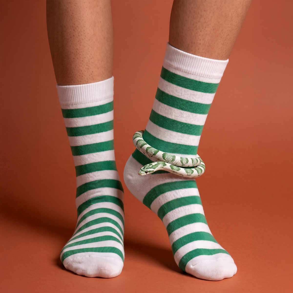 Grass Snake Socks